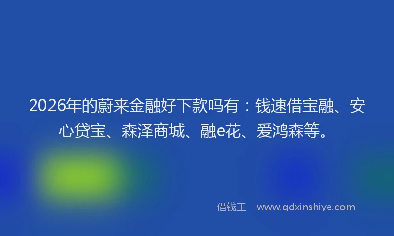 2026年的蔚来金融好下款吗有：钱速借宝融、安心贷宝、森泽商城、融e花、爱鸿森等。