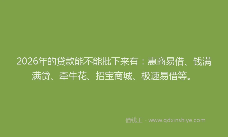 2026年的贷款能不能批下来有：惠商易借、钱满满贷、牵牛花、招宝商城、极速易借等。