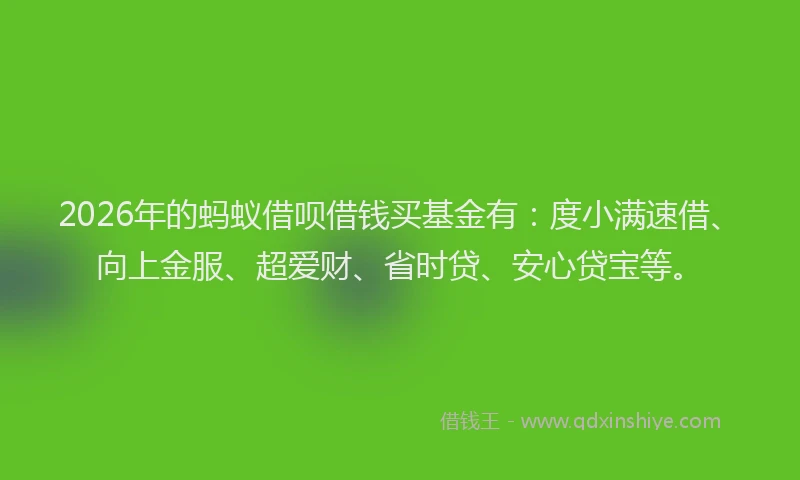 2026年的蚂蚁借呗借钱买基金有：度小满速借、向上金服、超爱财、省时贷、安心贷宝等。