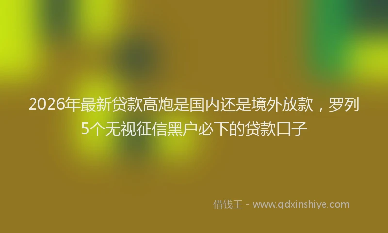 2026年最新贷款高炮是国内还是境外放款，罗列5个无视征信黑户必下的贷款口子
