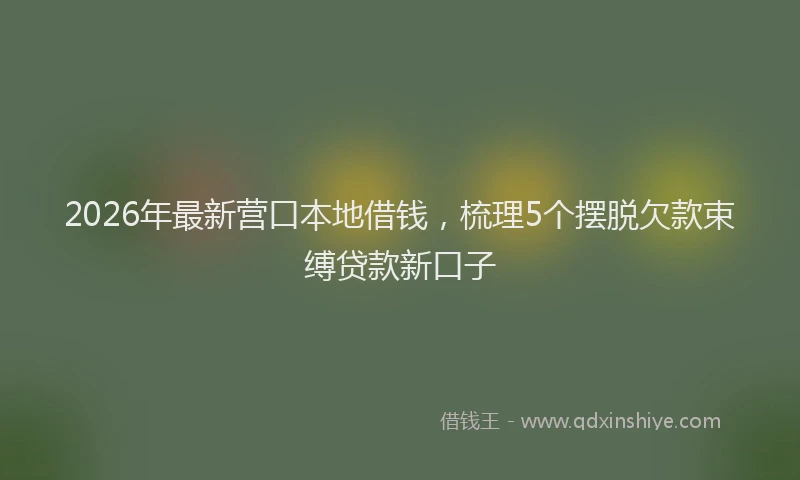 2026年最新营口本地借钱，梳理5个摆脱欠款束缚贷款新口子