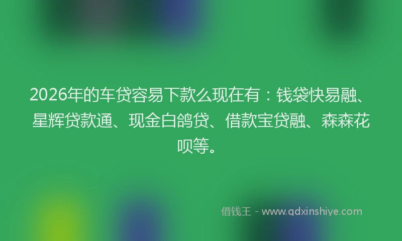 2026年的车贷容易下款么现在有：钱袋快易融、星辉贷款通、现金白鸽贷、借款宝贷融、森森花呗等。