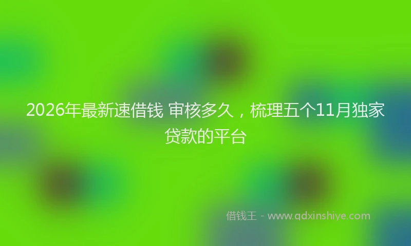 2026年最新速借钱 审核多久，梳理五个11月独家贷款的平台