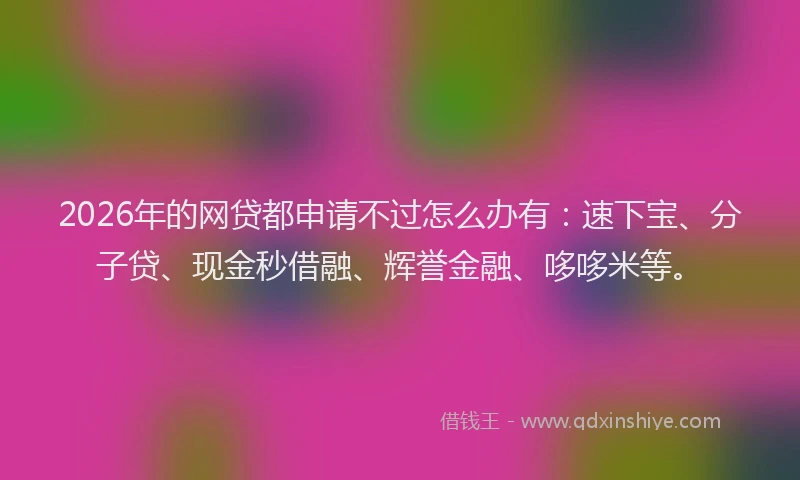 2026年的网贷都申请不过怎么办有：速下宝、分子贷、现金秒借融、辉誉金融、哆哆米等。