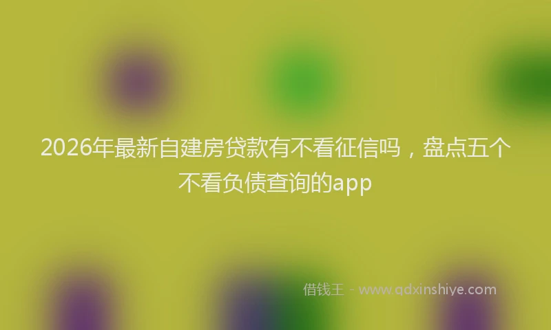 2026年最新自建房贷款有不看征信吗，盘点五个不看负债查询的app