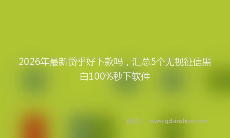 2026年最新贷乎好下款吗，汇总5个无视征信黑白100%秒下软件