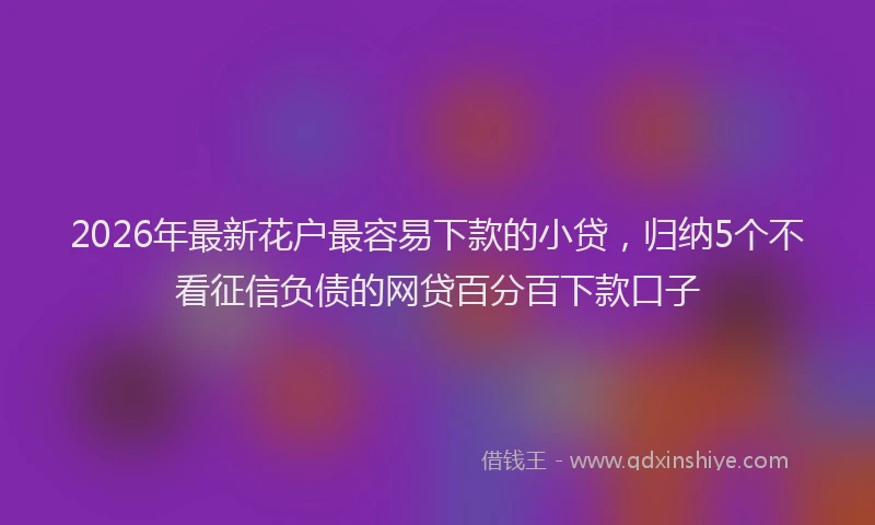 2026年最新花户最容易下款的小贷，归纳5个不看征信负债的网贷百分百下款口子