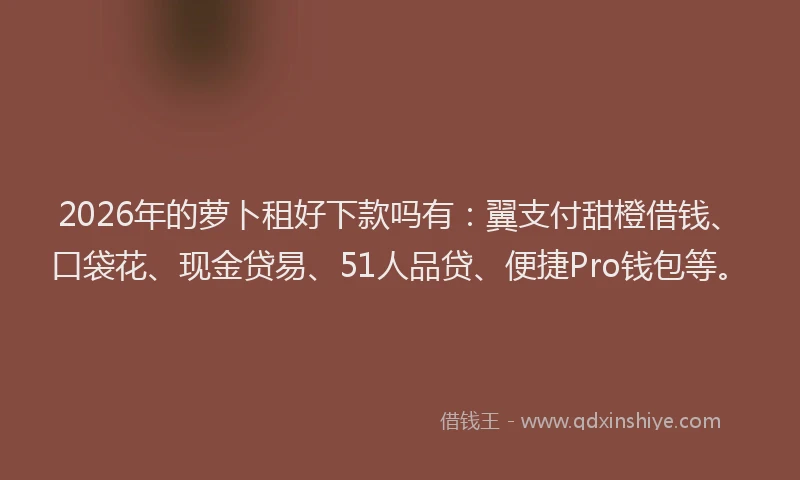2026年的萝卜租好下款吗有：翼支付甜橙借钱、口袋花、现金贷易、51人品贷、便捷Pro钱包等。