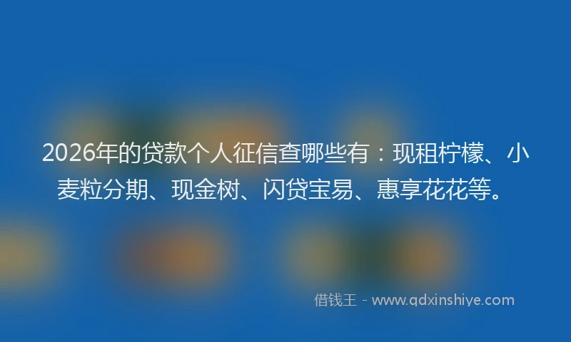 2026年的贷款个人征信查哪些有：现租柠檬、小麦粒分期、现金树、闪贷宝易、惠享花花等。