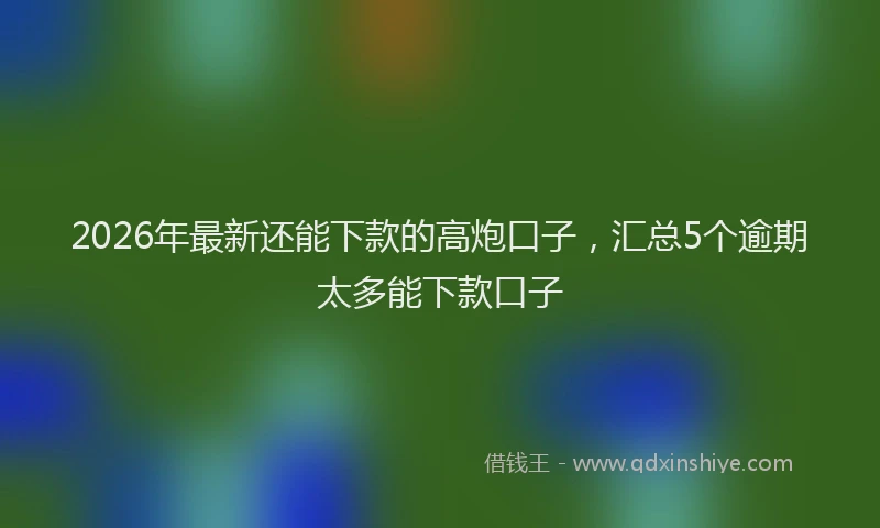 2026年最新还能下款的高炮口子，汇总5个逾期太多能下款口子