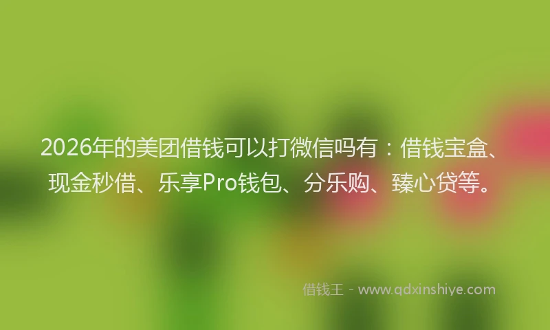 2026年的美团借钱可以打微信吗有：借钱宝盒、现金秒借、乐享Pro钱包、分乐购、臻心贷等。