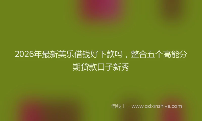 2026年最新美乐借钱好下款吗，整合五个高能分期贷款口子新秀