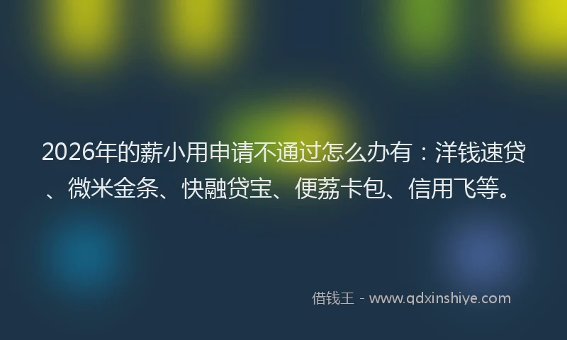 2026年的薪小用申请不通过怎么办有：洋钱速贷、微米金条、快融贷宝、便荔卡包、信用飞等。