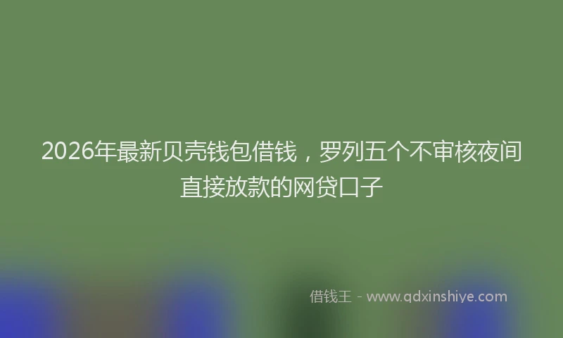 2026年最新贝壳钱包借钱，罗列五个不审核夜间直接放款的网贷口子