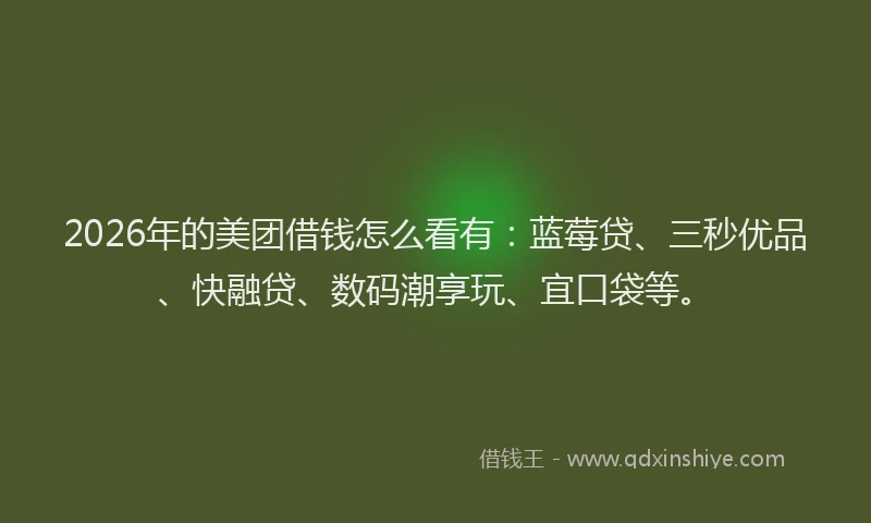 2026年的美团借钱怎么看有：蓝莓贷、三秒优品、快融贷、数码潮享玩、宜口袋等。
