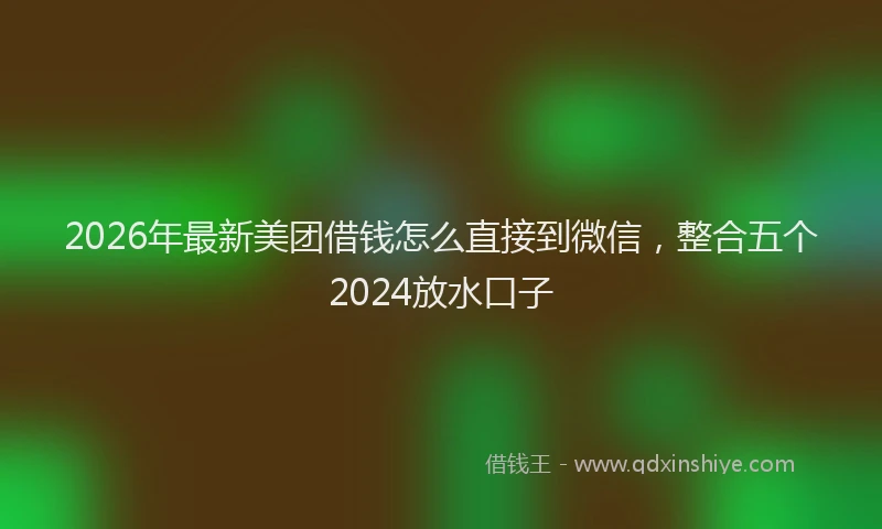 2026年最新美团借钱怎么直接到微信，整合五个2024放水口子