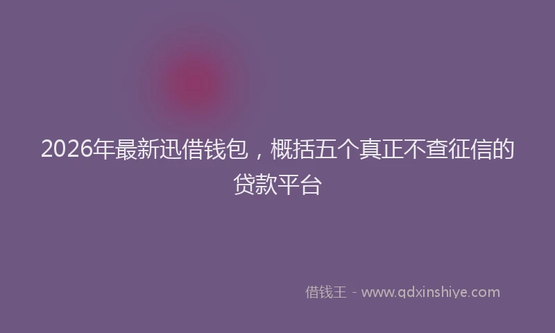 2026年最新迅借钱包，概括五个真正不查征信的贷款平台