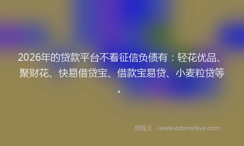 2026年的贷款平台不看征信负债有：轻花优品、聚财花、快易借贷宝、借款宝易贷、小麦粒贷等。