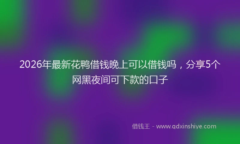 2026年最新花鸭借钱晚上可以借钱吗，分享5个网黑夜间可下款的口子