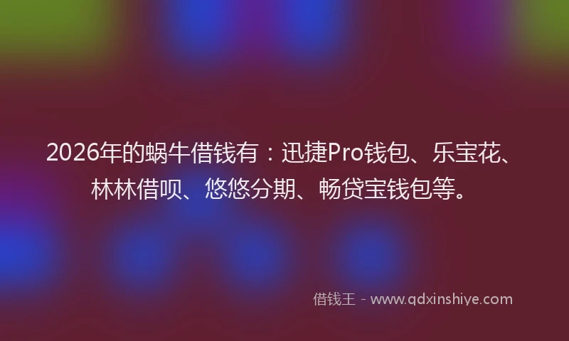 2026年的蜗牛借钱有：迅捷Pro钱包、乐宝花、林林借呗、悠悠分期、畅贷宝钱包等。