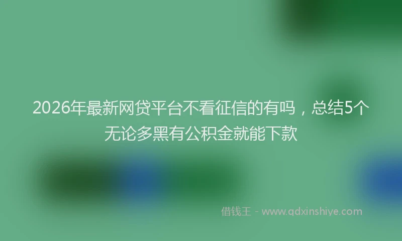 2026年最新网贷平台不看征信的有吗，总结5个无论多黑有公积金就能下款