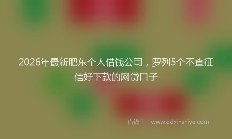 2026年最新肥东个人借钱公司，罗列5个不查征信好下款的网贷口子