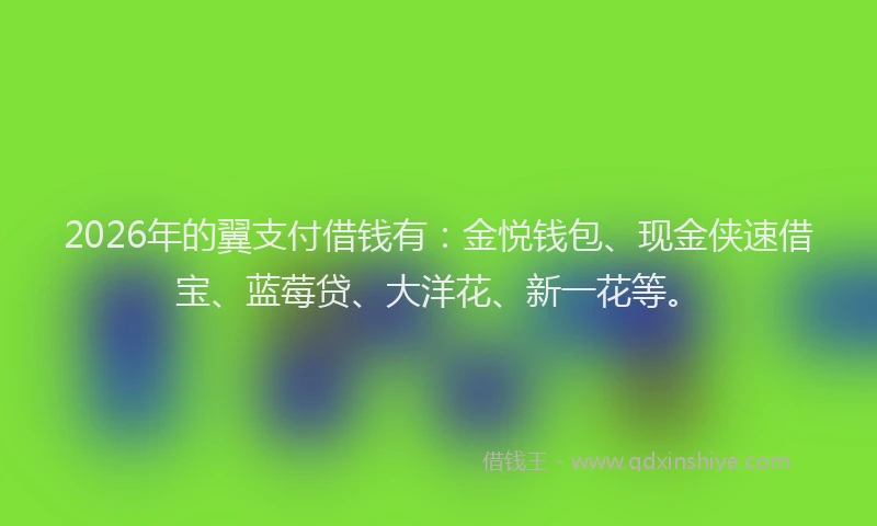 2026年的翼支付借钱有：金悦钱包、现金侠速借宝、蓝莓贷、大洋花、新一花等。