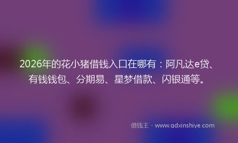 2026年的花小猪借钱入口在哪有：阿凡达e贷、有钱钱包、分期易、星梦借款、闪银通等。