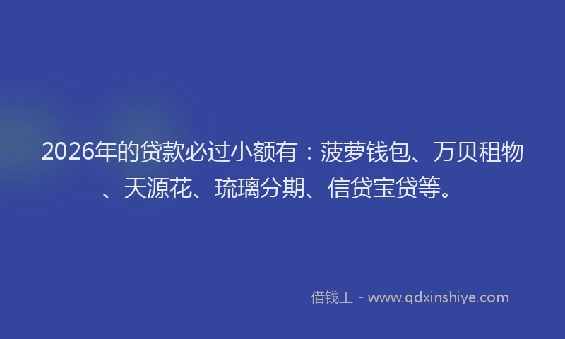 2026年的贷款必过小额有：菠萝钱包、万贝租物、天源花、琉璃分期、信贷宝贷等。