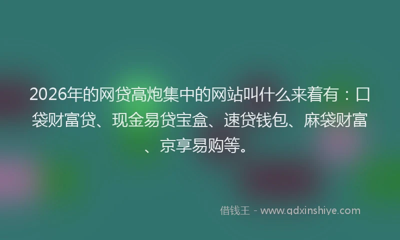 2026年的网贷高炮集中的网站叫什么来着有：口袋财富贷、现金易贷宝盒、速贷钱包、麻袋财富、京享易购等。