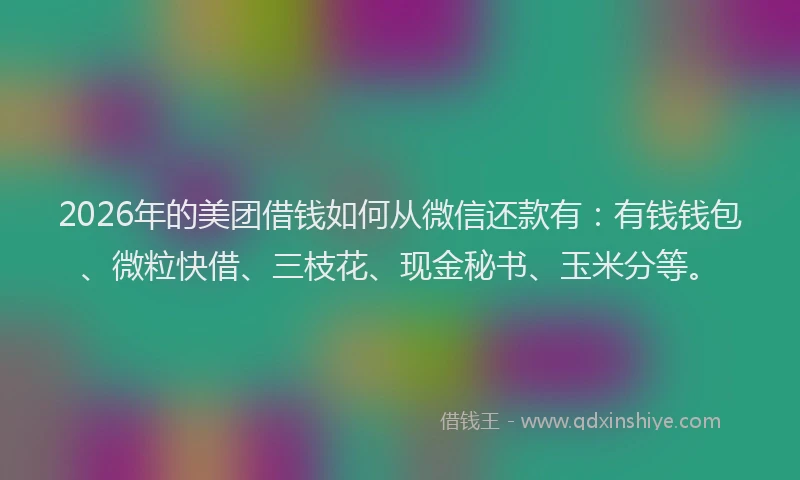 2026年的美团借钱如何从微信还款有：有钱钱包、微粒快借、三枝花、现金秘书、玉米分等。