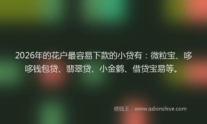 2026年的花户最容易下款的小贷有：微粒宝、哆哆钱包贷、翡翠贷、小金鹤、借贷宝易等。