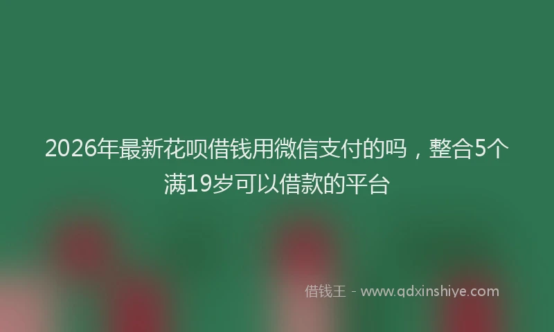 2026年最新花呗借钱用微信支付的吗，整合5个满19岁可以借款的平台