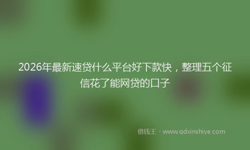 2026年最新速贷什么平台好下款快，整理五个征信花了能网贷的口子