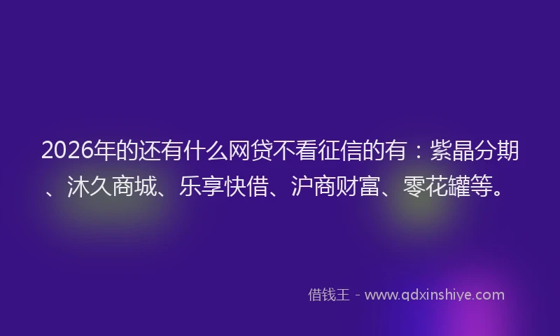 2026年的还有什么网贷不看征信的有：紫晶分期、沐久商城、乐享快借、沪商财富、零花罐等。