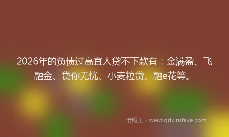 2026年的负债过高宜人贷不下款有：金满盈、飞融金、贷你无忧、小麦粒贷、融e花等。