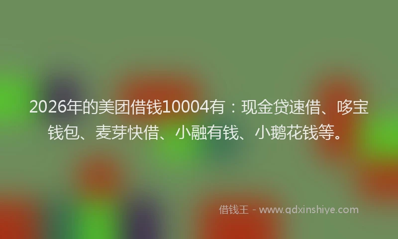 2026年的美团借钱10004有：现金贷速借、哆宝钱包、麦芽快借、小融有钱、小鹅花钱等。