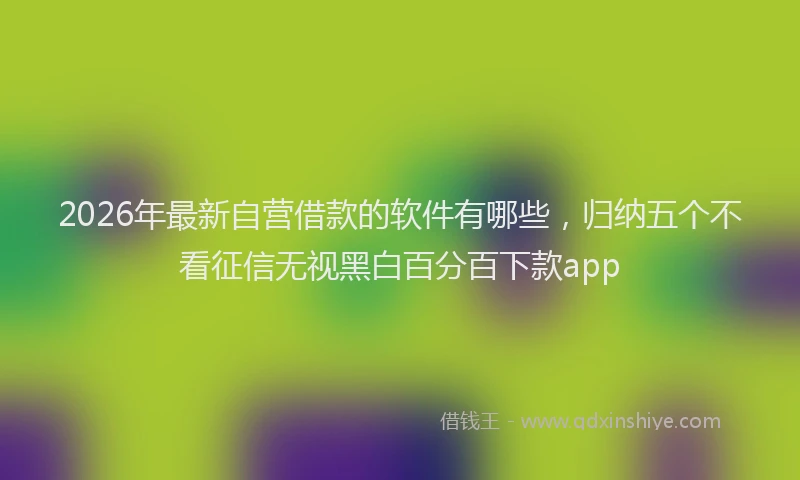 2026年最新自营借款的软件有哪些，归纳五个不看征信无视黑白百分百下款app