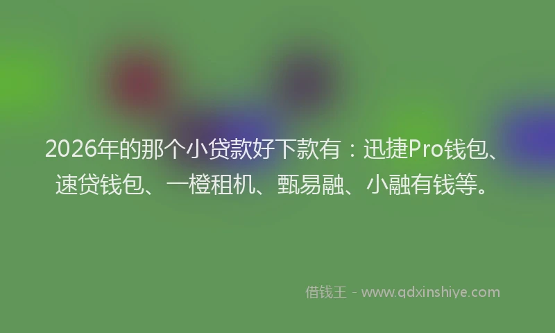 2026年的那个小贷款好下款有：迅捷Pro钱包、速贷钱包、一橙租机、甄易融、小融有钱等。