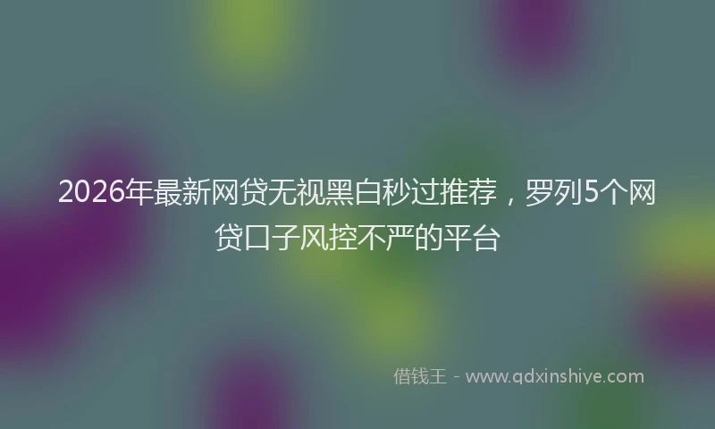 2026年最新网贷无视黑白秒过推荐，罗列5个网贷口子风控不严的平台