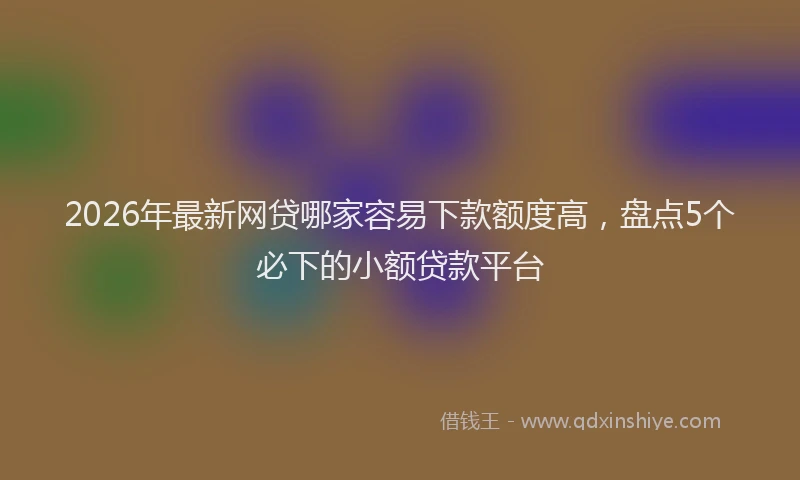 2026年最新网贷哪家容易下款额度高，盘点5个必下的小额贷款平台