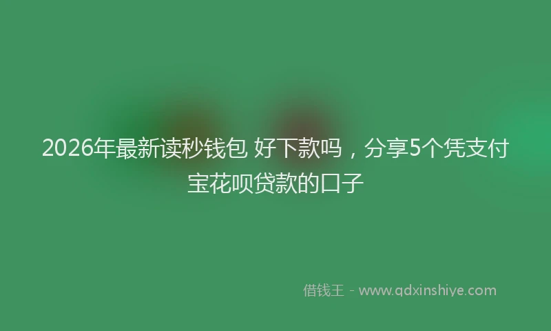 2026年最新读秒钱包 好下款吗，分享5个凭支付宝花呗贷款的口子
