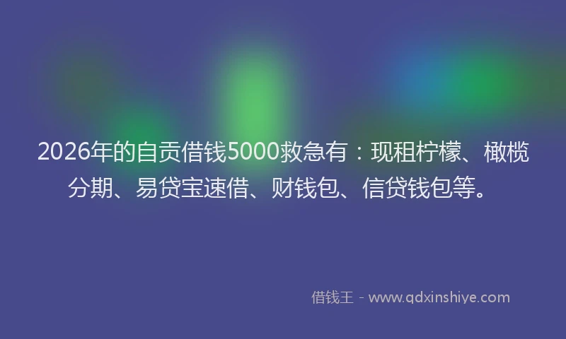 2026年的自贡借钱5000救急有：现租柠檬、橄榄分期、易贷宝速借、财钱包、信贷钱包等。