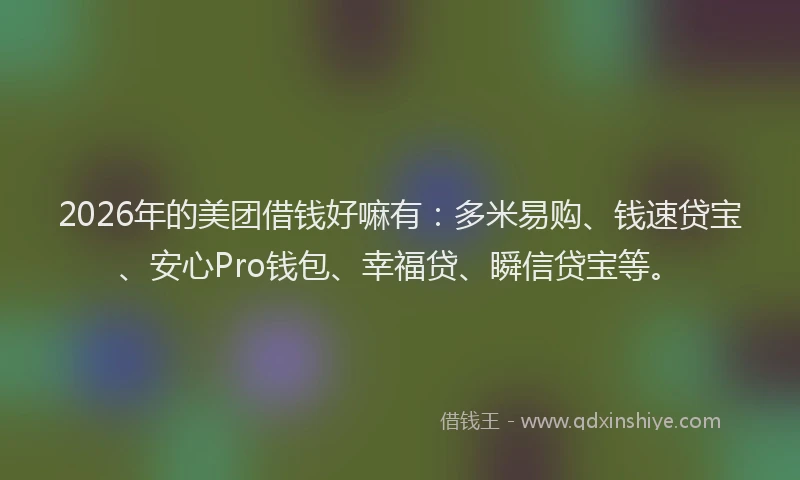 2026年的美团借钱好嘛有：多米易购、钱速贷宝、安心Pro钱包、幸福贷、瞬信贷宝等。