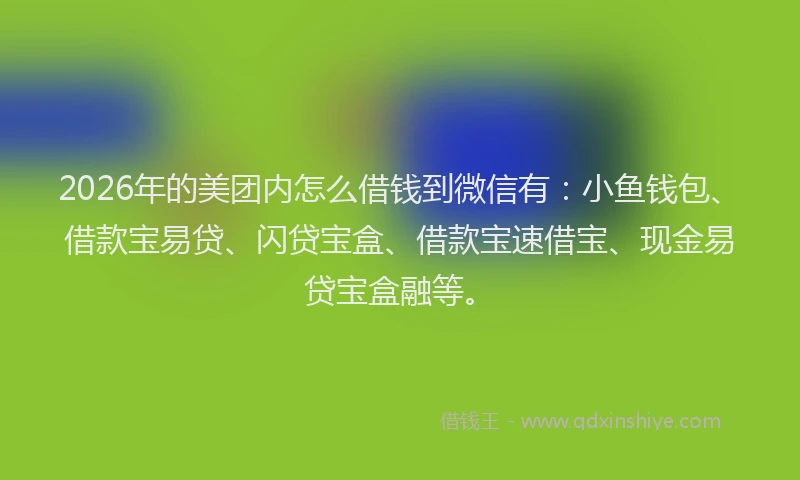 2026年的美团内怎么借钱到微信有：小鱼钱包、借款宝易贷、闪贷宝盒、借款宝速借宝、现金易贷宝盒融等。