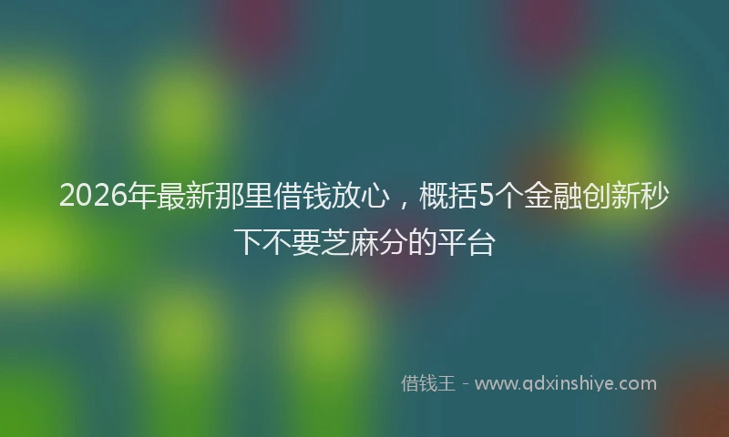 2026年最新那里借钱放心，概括5个金融创新秒下不要芝麻分的平台