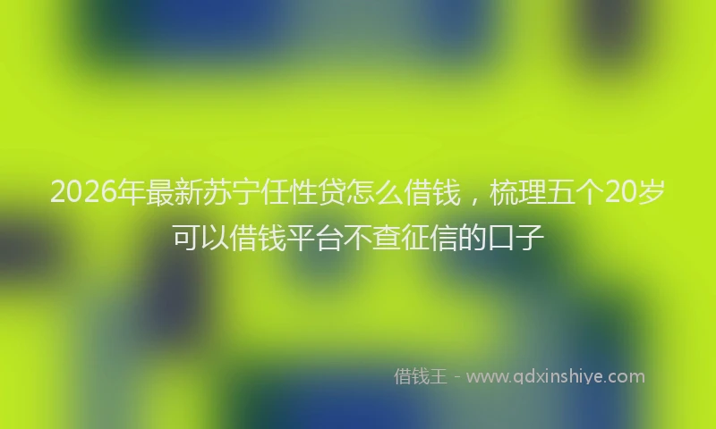 2026年最新苏宁任性贷怎么借钱，梳理五个20岁可以借钱平台不查征信的口子