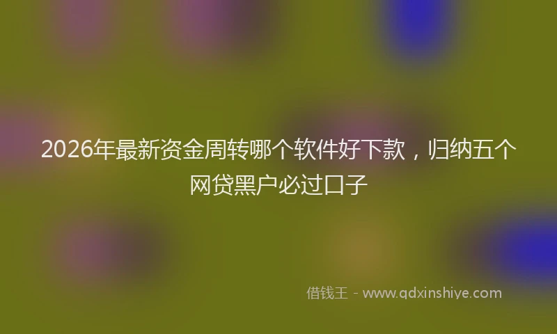 2026年最新资金周转哪个软件好下款，归纳五个网贷黑户必过口子