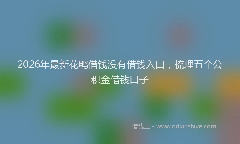 2026年最新花鸭借钱没有借钱入囗，梳理五个公积金借钱口子