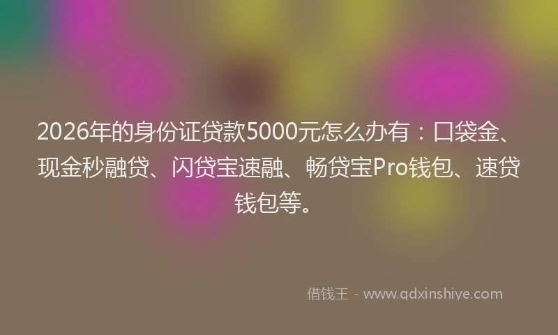 2026年的身份证贷款5000元怎么办有：口袋金、现金秒融贷、闪贷宝速融、畅贷宝Pro钱包、速贷钱包等。